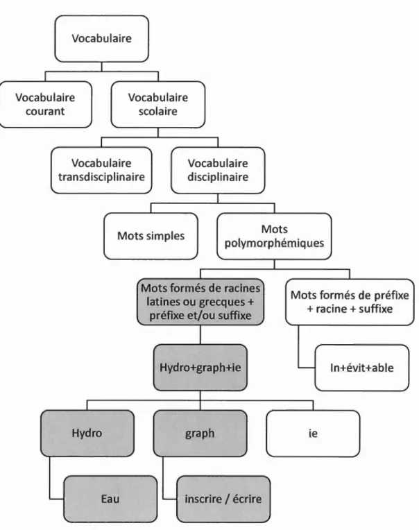 Figure  2.2  Catégorisation du vocabulaire 