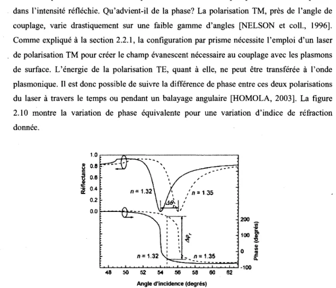 Figure 2.10 : Difference de phase entre les polarisations TM et TE pour une variation d'indice  de refraction donnee [HOMOLA, 2003] 