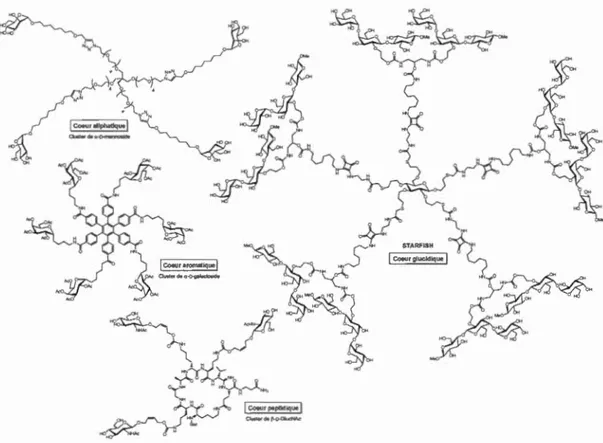 Figure 1.11  Quelques exemples  de glycoclusters synthétisés  à  partir de  cœurs  aliphatique ,  aromatique ,  glucidique et peptidique