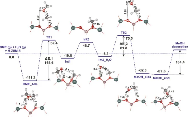 Figure 1.11 : Formation de méthyllium à la surface de zéolite et mécanisme d'hydrolyse  du DME 