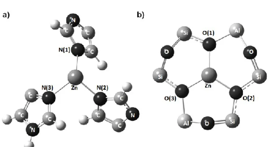 Figure 2.1 : Zinc environment in a) Carbonic Anhydrase metalloporphyrin b) Zinc  exchanged faujasite 6T ring  