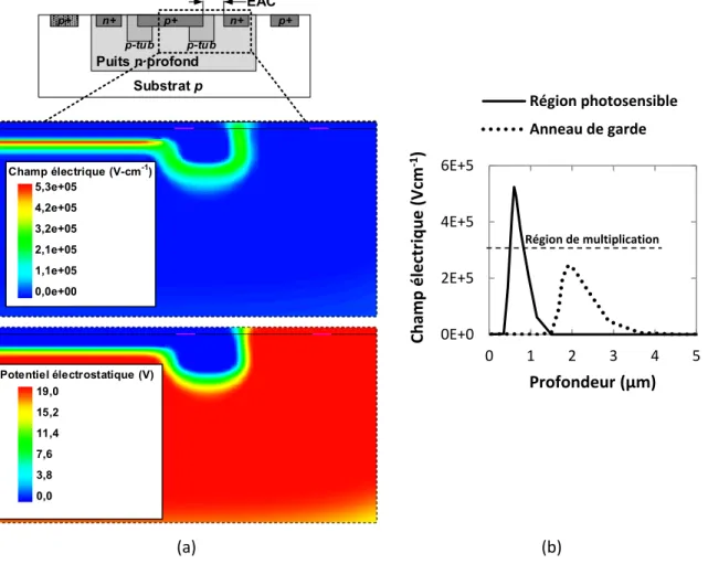 Figure 3.1(a) Vue en coupe d’un SPAD à anneau de garde par diffusion avec les résultats de simulation et (b) profil  du champ électrique de la région de multiplication et de l’anneau de garde simulé