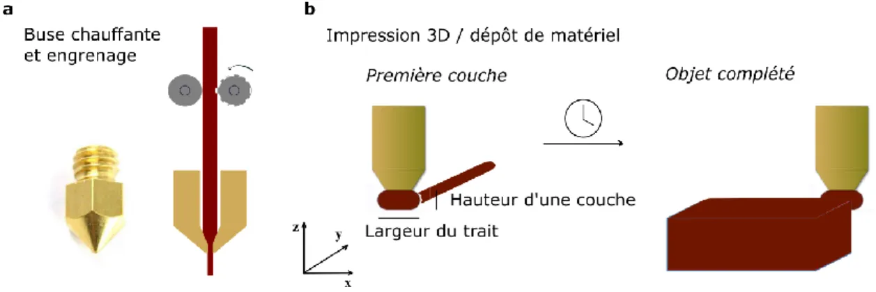 Figure  9  –  Schéma  d’une  buse  chauffante  et  fonctionnement  de  l’impression  3D  (a  et  b) ;  dépôt de couches sur 2D jusqu’à 3D