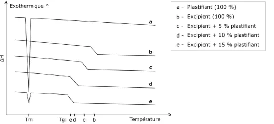 Figure  16  –  Thermogrammes  d’un  mélange  de  polymère  thermoplastique  et  plastifiant  à  différentes concentrations