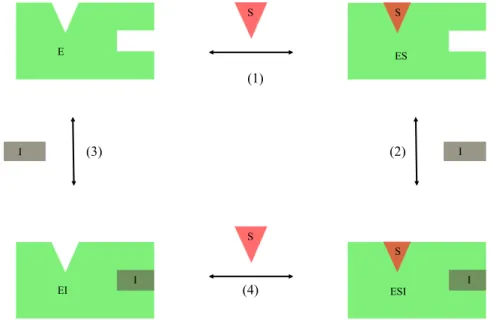 Figure 20 Mécanisme d’inhibition non-compétitive (Inspirée de Smith et al., 2005 4 ) – 
