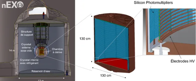 Figure 1.6 Schéma du détecteur nEXO situé au Cryopit de SNOLAB, Sudbury (Canada) à une profondeur de 6010 m équivalent d’eau [45].