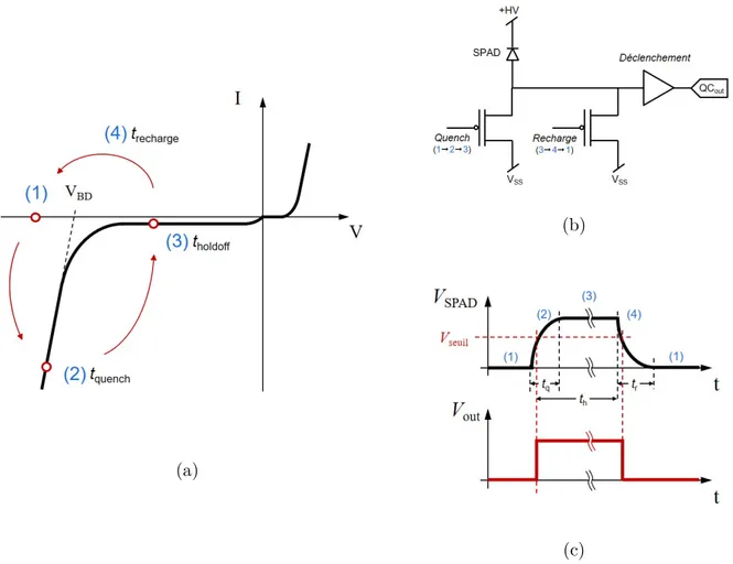 Figure 2.4 Opération du SiPM numérique. (a) Dynamique d’opération illustrée sur la caractéristique I-V typique