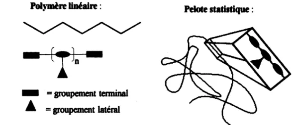 Figure 4. Représentation schématique d'un polymère linéaire et agrandissement d'une pelote 