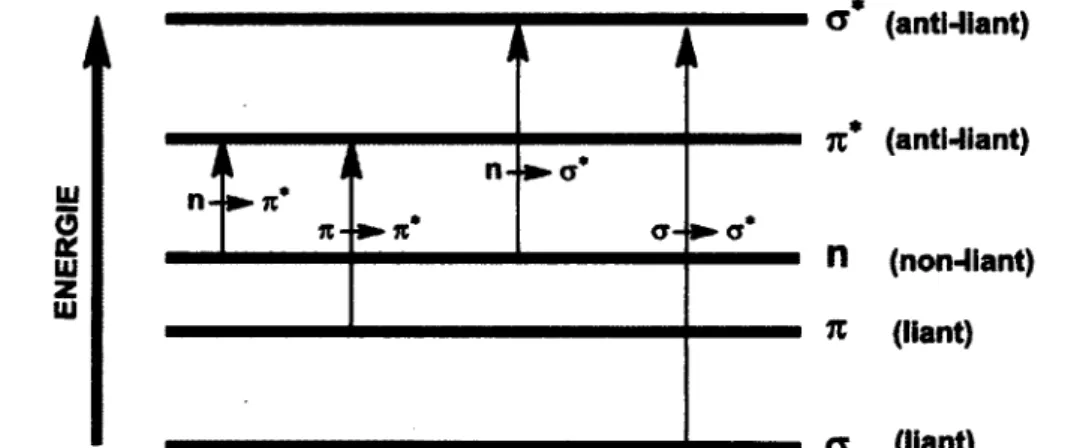 Figure 12 sont résumées toutes les transitions électroniques que nous venons d'évoquer