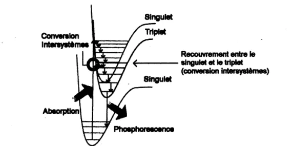 Figure 18. Représentation schématique des mécanismes d'absorption, de conversion intersystèmes, de 