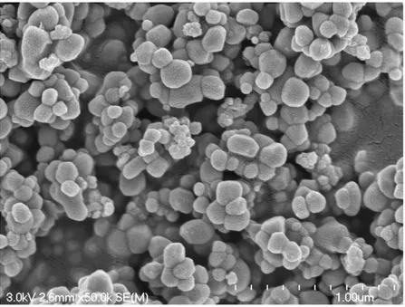 Figure 9 - Photo au microscope électronique 3.0kV, 2.6mmX2.50k de poudre d'enrobage.  Échelle de 1.00µm 