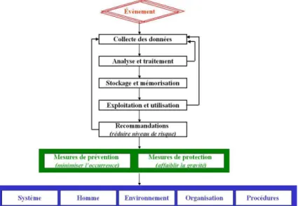 Figure 13: Articulation des différentes étapes du déroulement du REX,   d’après Hadj-Mabrouk et Hamadoui (2008) 