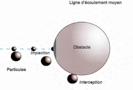 FIGURE  1.13 - Schéma pr ése ntant  deux types  de dépôts  secs  parmi les  quatre  e xis-