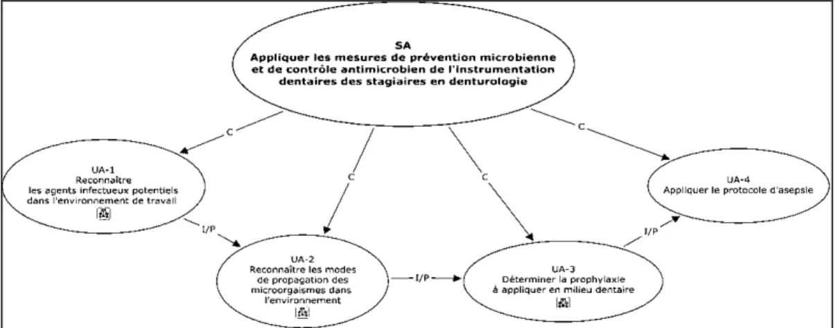 Figure 13 Structure d’apprentissage du dispositif d’apprentissage à l’aide du logiciel  Cmap (MOT)