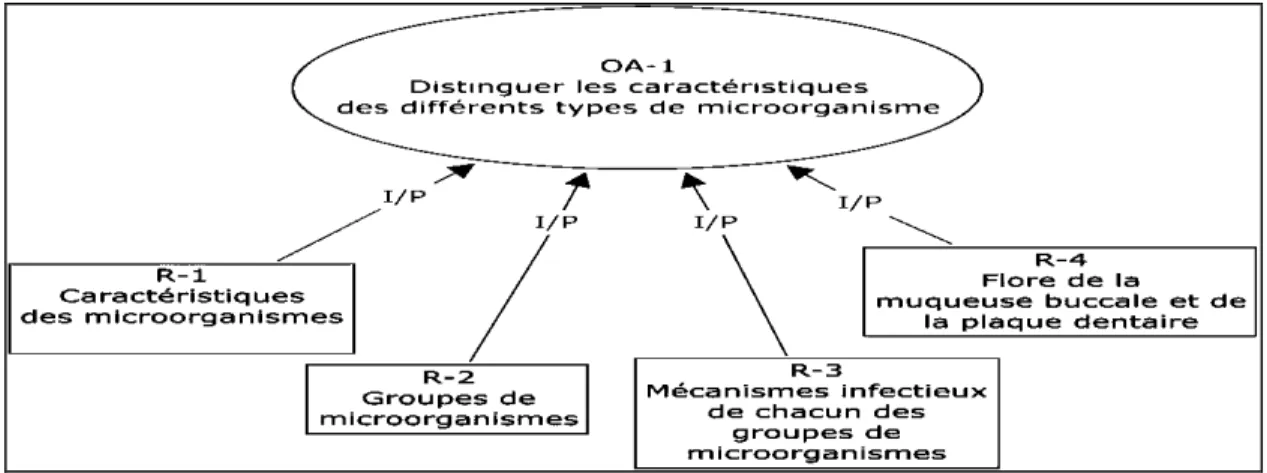 Figure 15 Objet d’apprentissage (OA-1) composé de 4 ressources pédagogiques à  l’aide du logiciel Cmap (MOT).