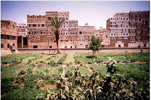 Figure 10 : Cultures dans la vieille ville de Sanaa au Yémen. Source : Messori, FAO (1999) 