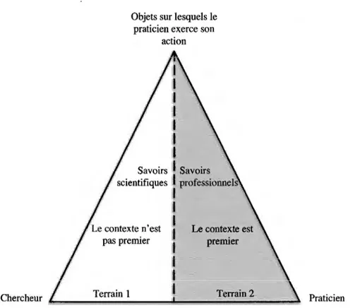 Figure 32:  Triangles du savoir d'après Sebillotte (2007) 