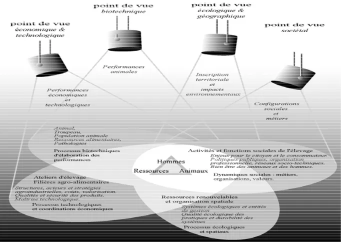 Figure 14. Quatre points de vue complémentaires pour aborder les systèmes d’élevage  Source. Bonnemaire et Osty (2004) 