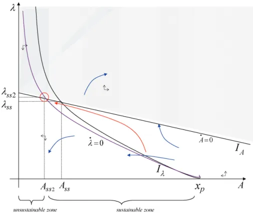 Figure 1.6: The effect of a higher discount rate on the optimal path