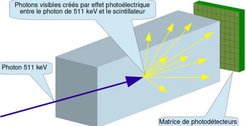 Figure 2.4 Principe de fonctionnement d’un scintillateur couplé à une matrice de photodétecteurs [33]