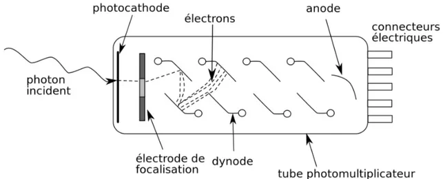 Figure 3.1 Fonctionnement d’un tube photomultiplicateur [12]