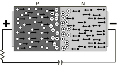 Figure 3.6 Vue en coupe d’une jonction PN [23]