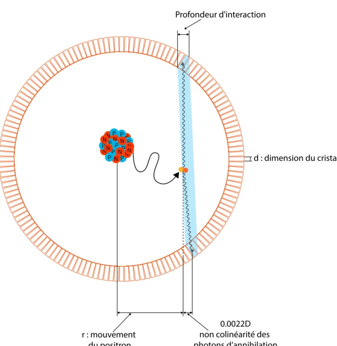 Figure 2.8 Représentation des différentes dégradations de la résolution spatiale.