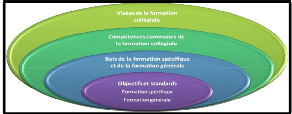 Figure 1 :  Éléments d’un programme d’études collégiales. Tiré du Gouvernement du Québec (2012a)