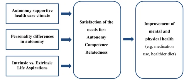 Figure 3. The Self-Determination Theory model of health change (adapted from Ryan, Patrick, Deci and 