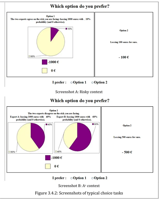 Figure 3.4.2: Screenshots of typical choice tasks  