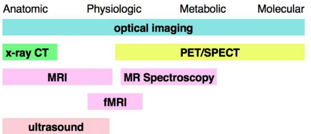 Figure 1-1 : Les différentes modalités d’imagerie préclinique et leurs champs d'application  (Nicol, 2010)