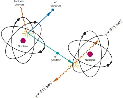 Figure 2-1 : Schéma représentant l’annihilation el la production de pair de photons  (Cherry, 2012)