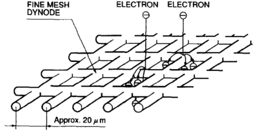 Figure 2-6: Dynode d'un PMTSP (Yoshizawa et Takeuchi, 1997). 