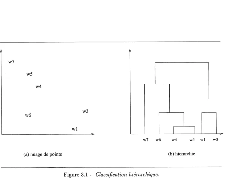 Figure 3.1 - Classification hierarchique.