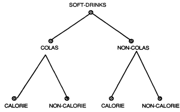 FIGURE 9 ARBRE INDIVIDUEL DE DECISION ET STRUCI1JRE D'UN MARCHE SOFT-DRINKS