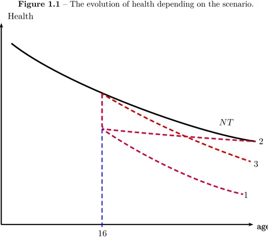 Figure 1.1 – The evolution of health depending on the scenario.
