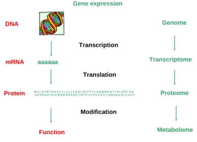 Figure 1: Schematic representation of gene expression study levels