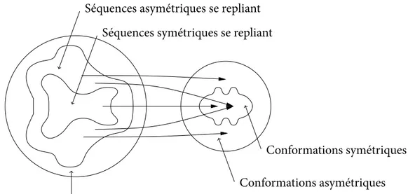 Fig. II.8 : Schéma de la correspondance entre l’espace des séquences et l’espace des confor- confor-mations établie par le repliement.