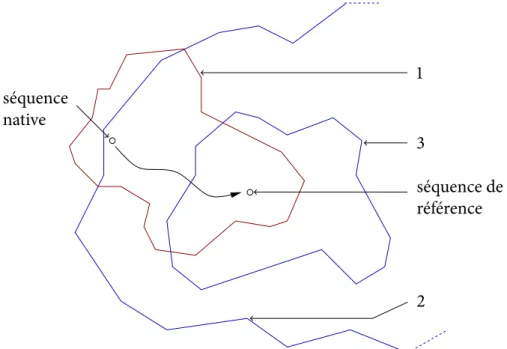 Fig. II.14 : Principe de la préoptimisation. En rouge (1), le véritable réseau neutre qui serait exploré avec un modèle d’énergie fin