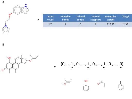 Figure 2.4: Example of descriptors that may be used to encode molecules. (A) Example of 1D descriptors based on physicochemical properties
