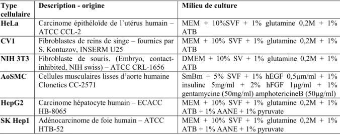 Tableau 1 Description des types cellulaires utilisés. MEM : minimum essential medium, DMEM : Dulbecco’s 