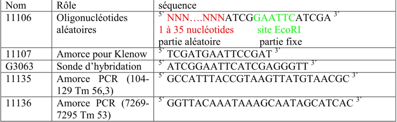 Tableau 4 Séquence des oligonucléotides utilisés lors du clonage de la banque de plasmides aléatoires