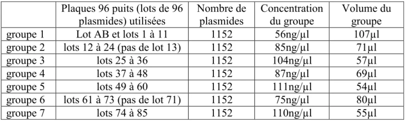 Figure 18 Préparation des groupes de plasmides aléatoires en vue du criblage de la banque
