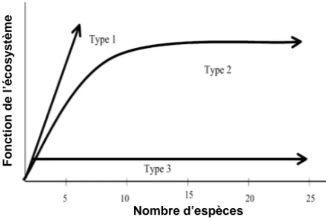 Figure  I.2 :Relations  possibles  entre  diversité  spécifique  et  fonctions  de  l’écosystème  dans  le  cas  du  sous-système  plante.(de Vitousel et Hooper, 1993) 
