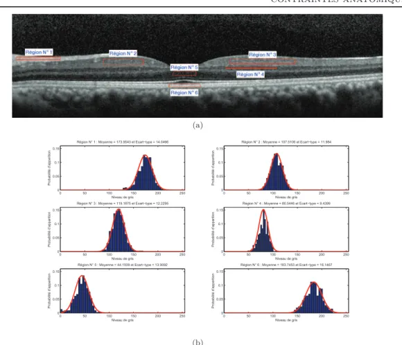 Figure 2.3 – Analyse de l’intensité des pixels. (b) Histogrammes des régions déﬁnies dans (a)