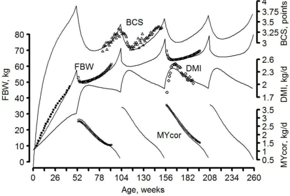 Figure 2-4 : Model simulations (continuous lines) of full BW (FBW), BCS, and energy corrected milk yield  (MYcor) from birth to 5 years (i.e