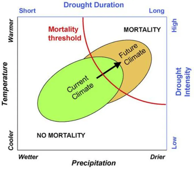 Figure 2.1 : Diagramme conceptuel montrant l’évolution des paramètres environementaux :  température et précipitation d’une part et évolution de l’intensité et des épisodes de sécheresse  d’autre part 