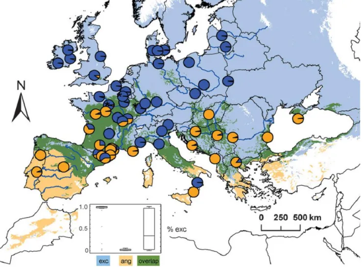 Figure 8. Carte de répartition des espèces de Frênes européens. En bleu les frênes communs  (F