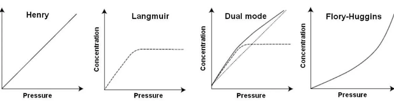 Figure 1.2. Types of isotherms showing the concentration of sorbed molecules versus vapor  pressure (Klopffer and Flaconneche 2001)