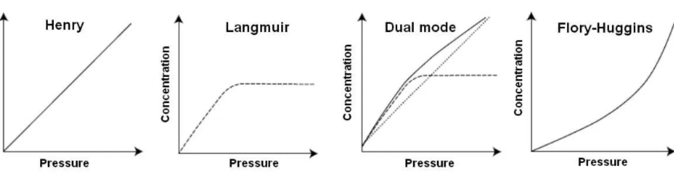 Figure 1.2. Types of isotherms showing the concentration of sorbed molecules versus vapor  pressure (Klopffer and Flaconneche 2001)